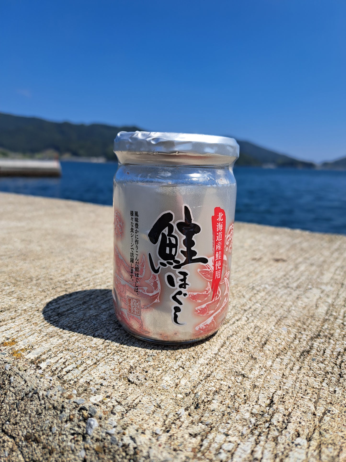 北海道産鮭 鮭ほぐし 170g×6本セット 【好評につき売り切れ中】